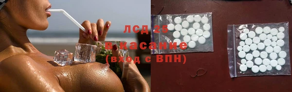 индика Алексин