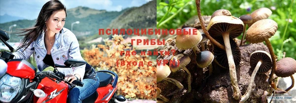 а пвп мука Аркадак