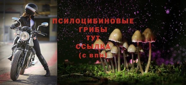 а пвп мука Аркадак