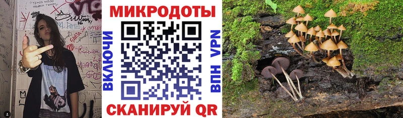 Псилоцибиновые грибы мицелий  Ипатово 
