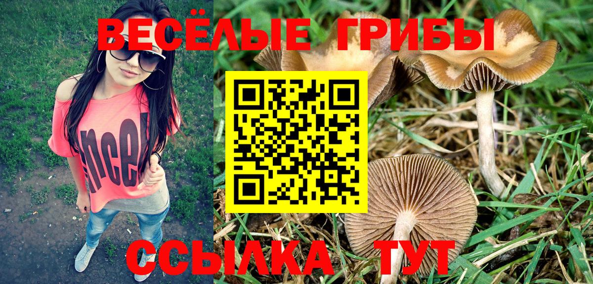 Псилоцибиновые грибы Magic Shrooms  Вход с VPN  Ипатово 